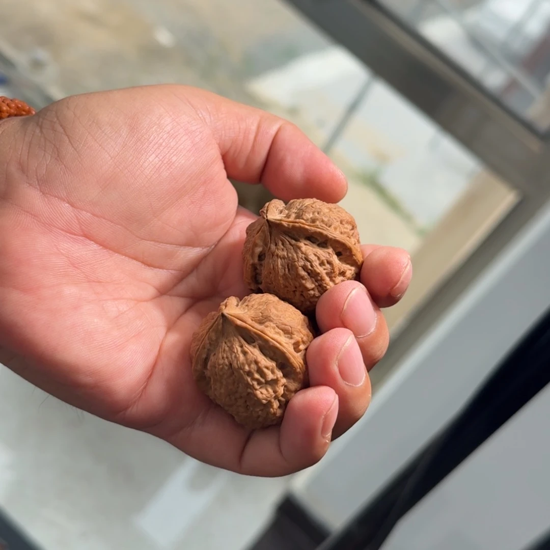 文玩核桃把件60号三棱四棱随机发