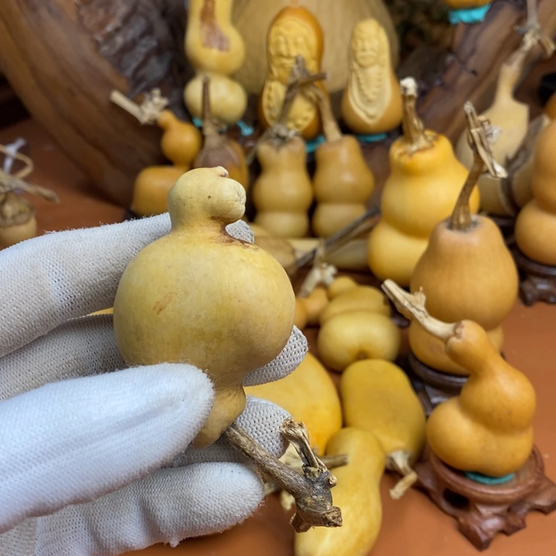 为***书咯咯教练教练咯教练咯