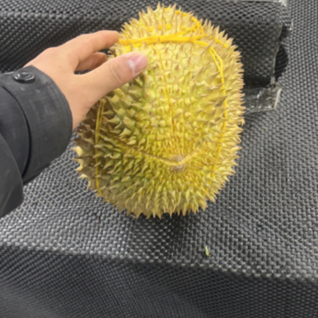 【一果一拍】3.泰国树熟金枕榴莲3斤-8斤，鲜榴莲核小金枕泰国榴莲同城配金枕泰国