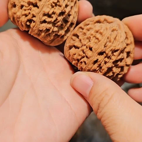 吊坠文玩核桃44.5南疆