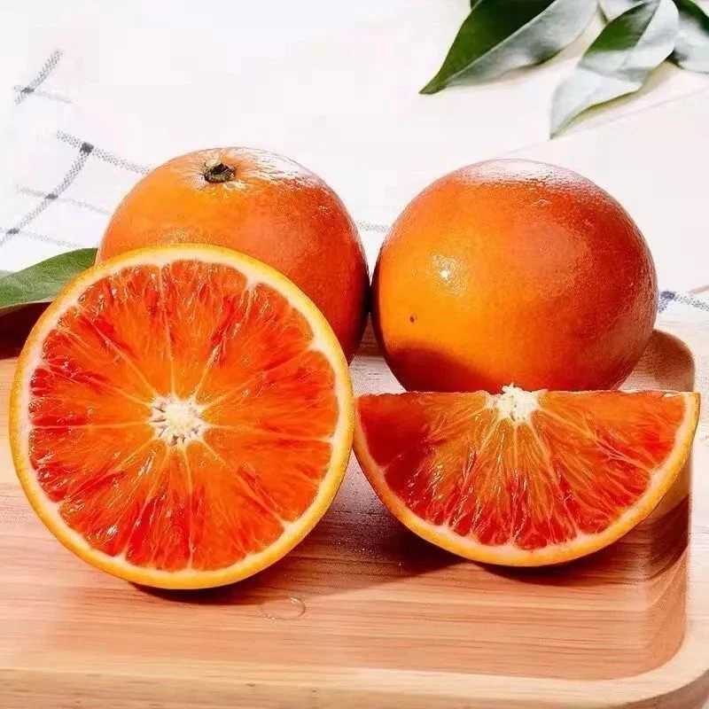 峻旗专属-正宗四川资中血橙新鲜果园现摘皮薄汁多