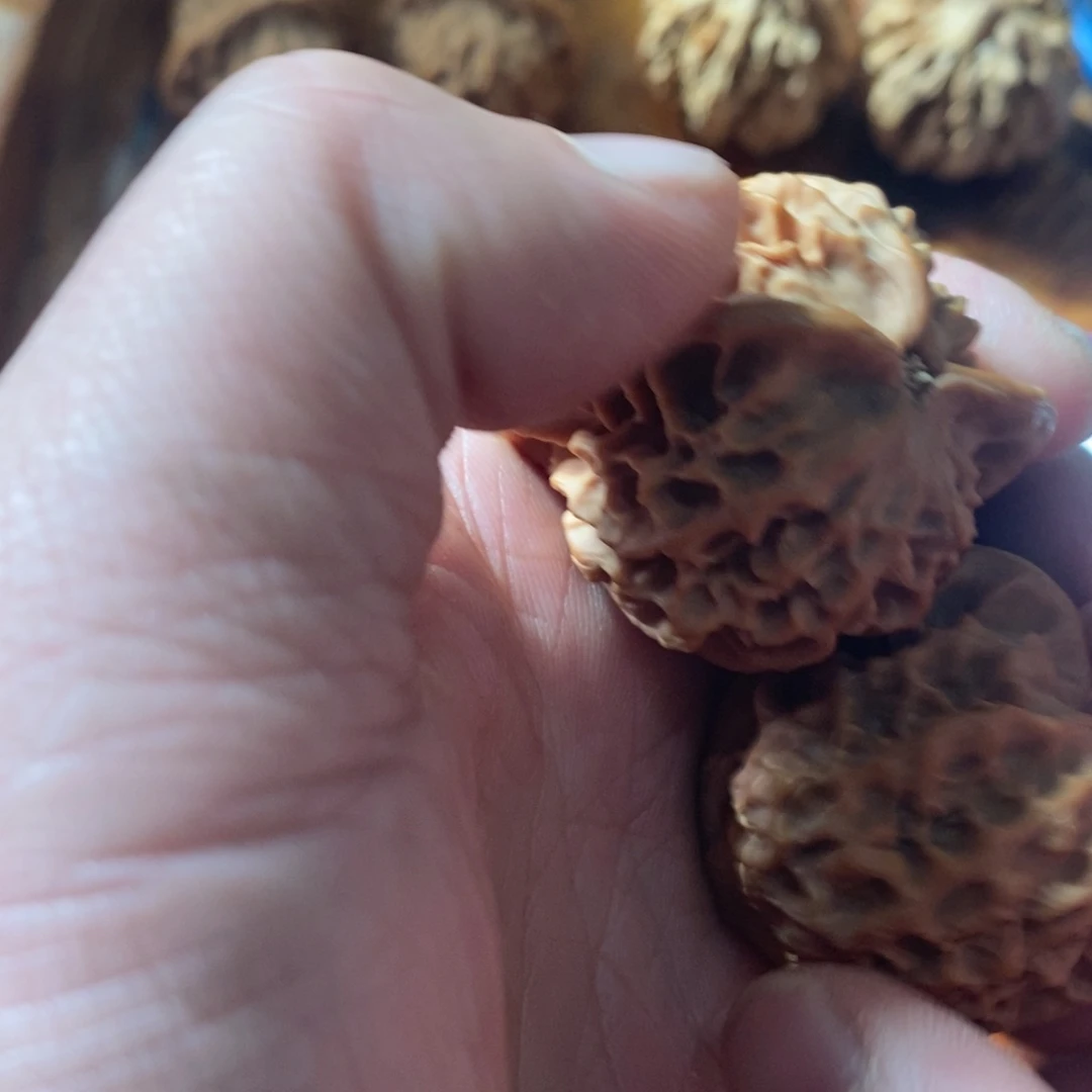 风*秦岭南侧与北风的