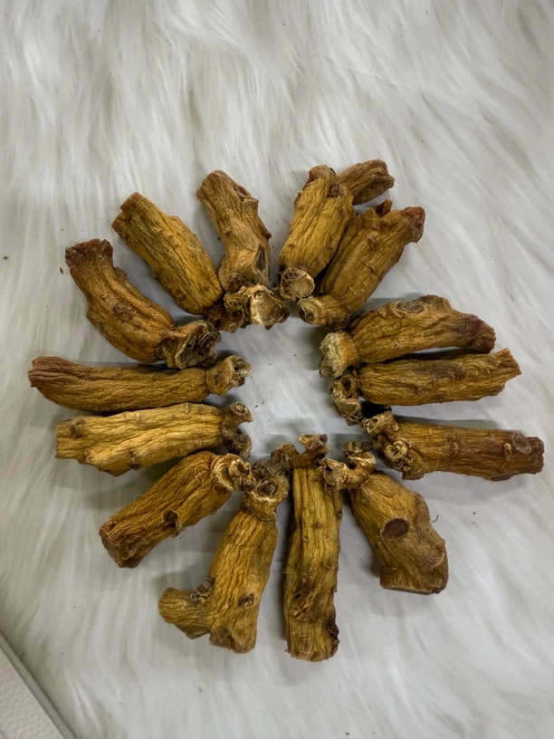 老高丽参大短胖净货参香浓郁滋补养生