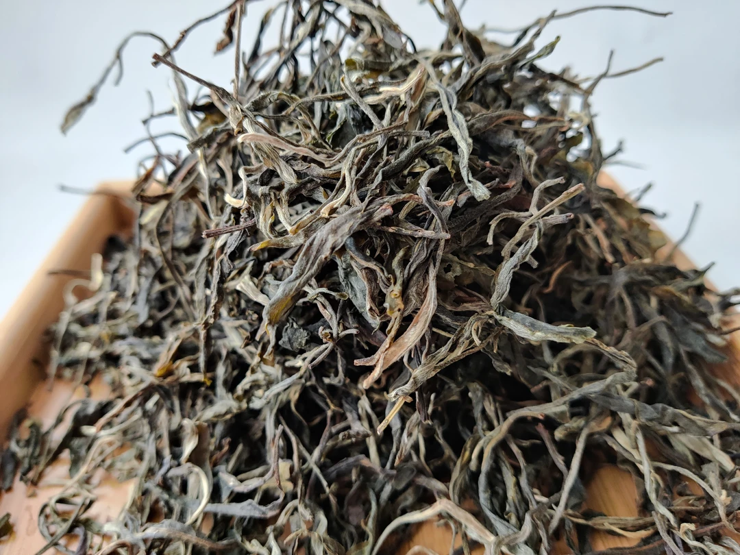 【晴晴源头】2025年墨江凤凰窝核心古树生茶散茶！200克+50克试饮