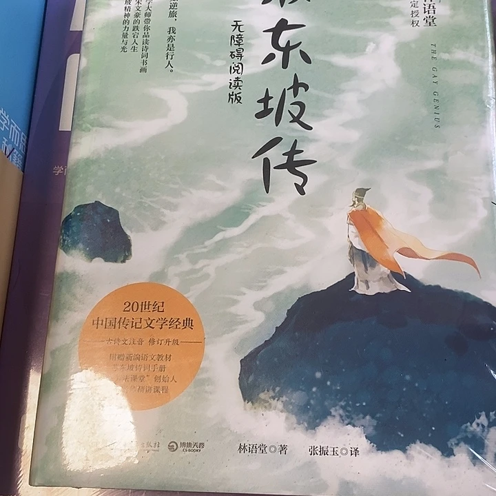 苏东坡传五障碍阅读版