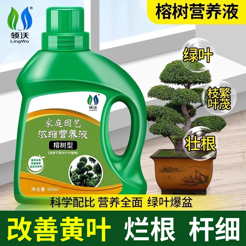 榕树专用有机营养液老桩盆景移栽果树促根养根花卉绿植通用型肥料