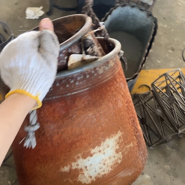 可爱琦琦哈哈哈哈