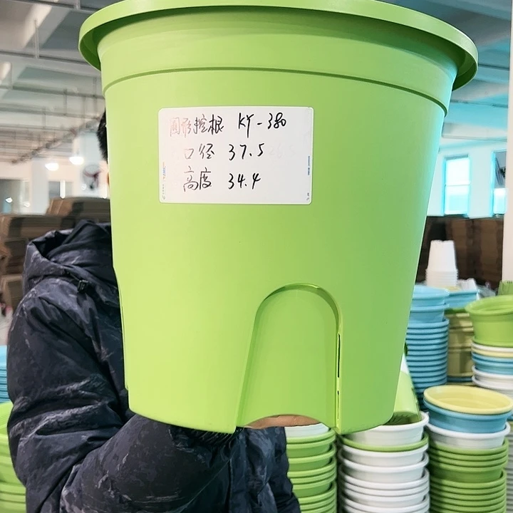 正品圆控口37.5高34果绿无托5只