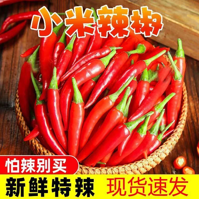 贵州新鲜现摘特辣小米椒可用于泡椒剁椒餐饮调味蔬菜