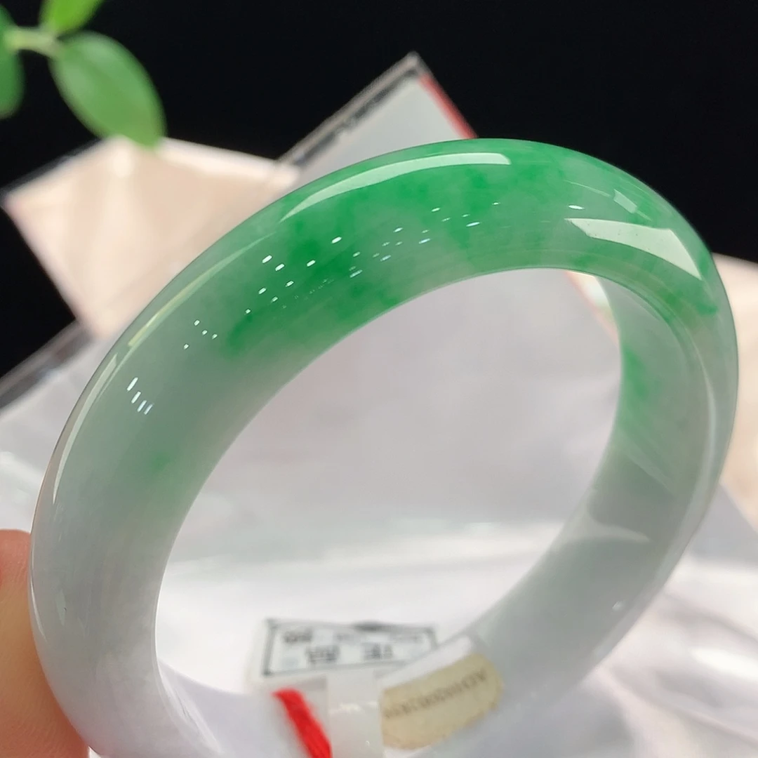 未镶嵌手镯翡翠2859
