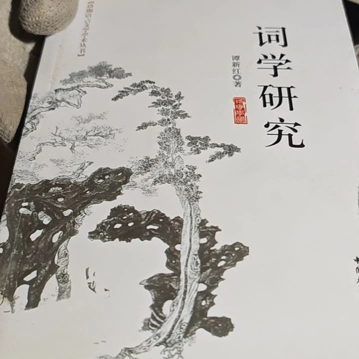 词学平装没塑封介意勿拍