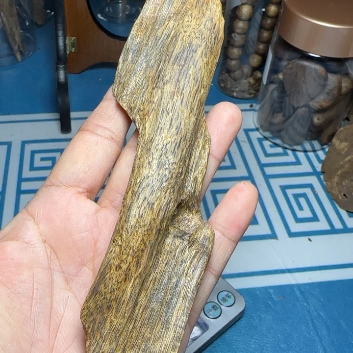 木质母树绿奇陆河虫漏31克