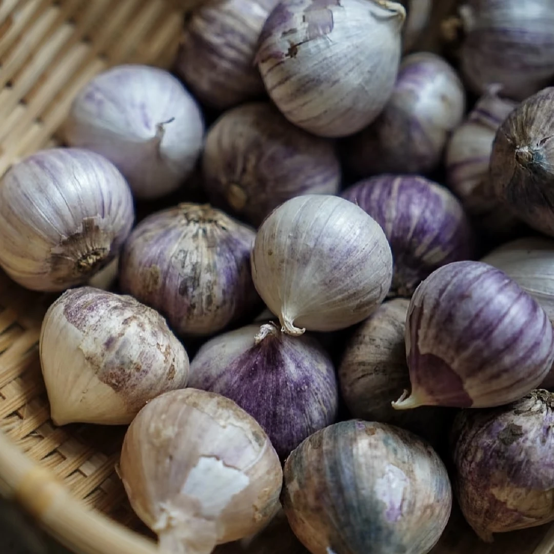 【极边印象】独头蒜云南高山现收农产品