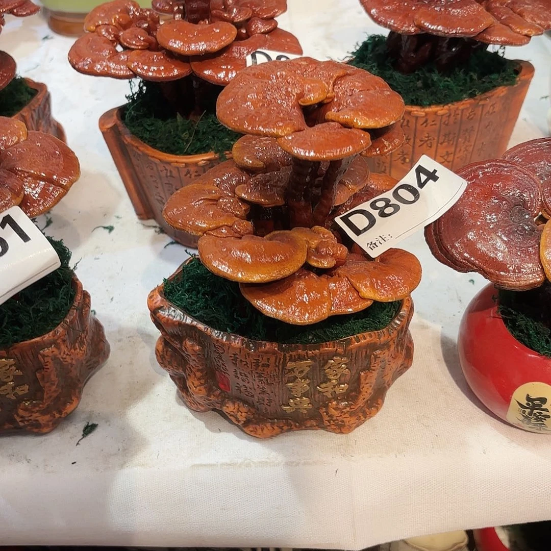 无花朵灵芝888888888888088