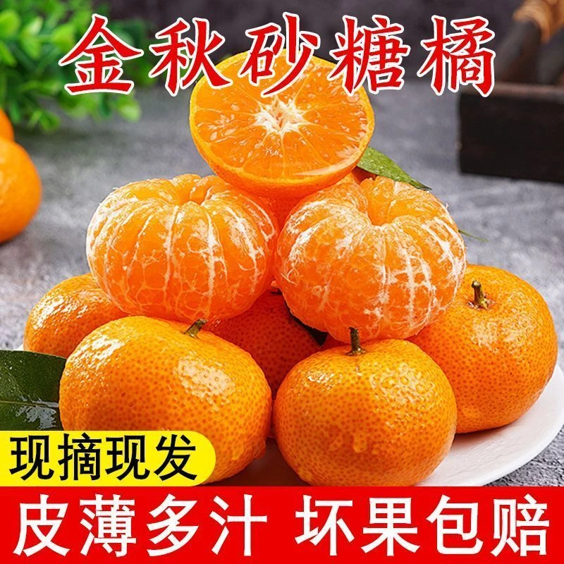 【新鲜摘】现货冰糖广西砂糖橘爆甜砂糖桔金秋沙糖桔应季水果包邮