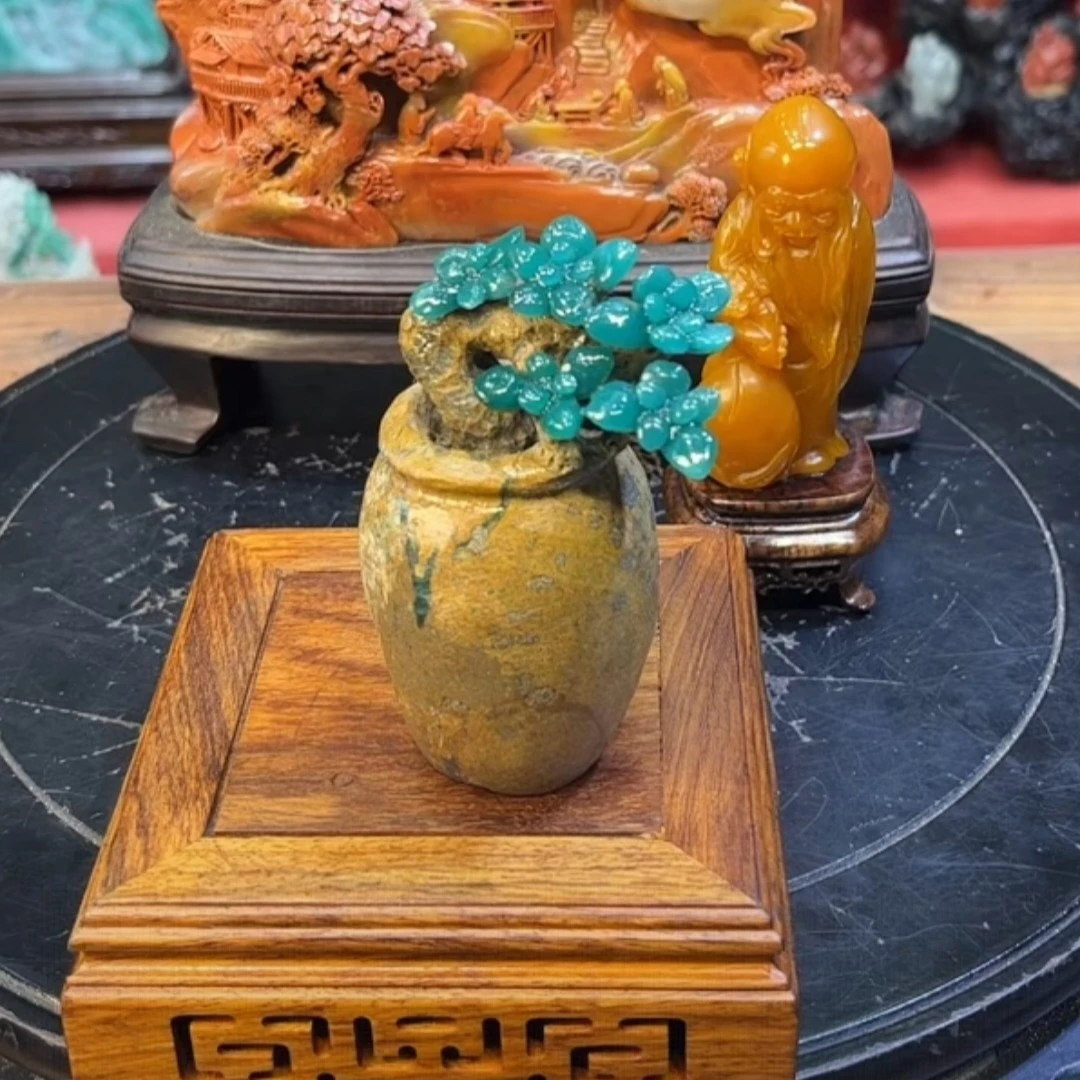 福州寿山家居摆设工艺品石头装饰品山水摆件纯手工创意雕刻蜥蜴