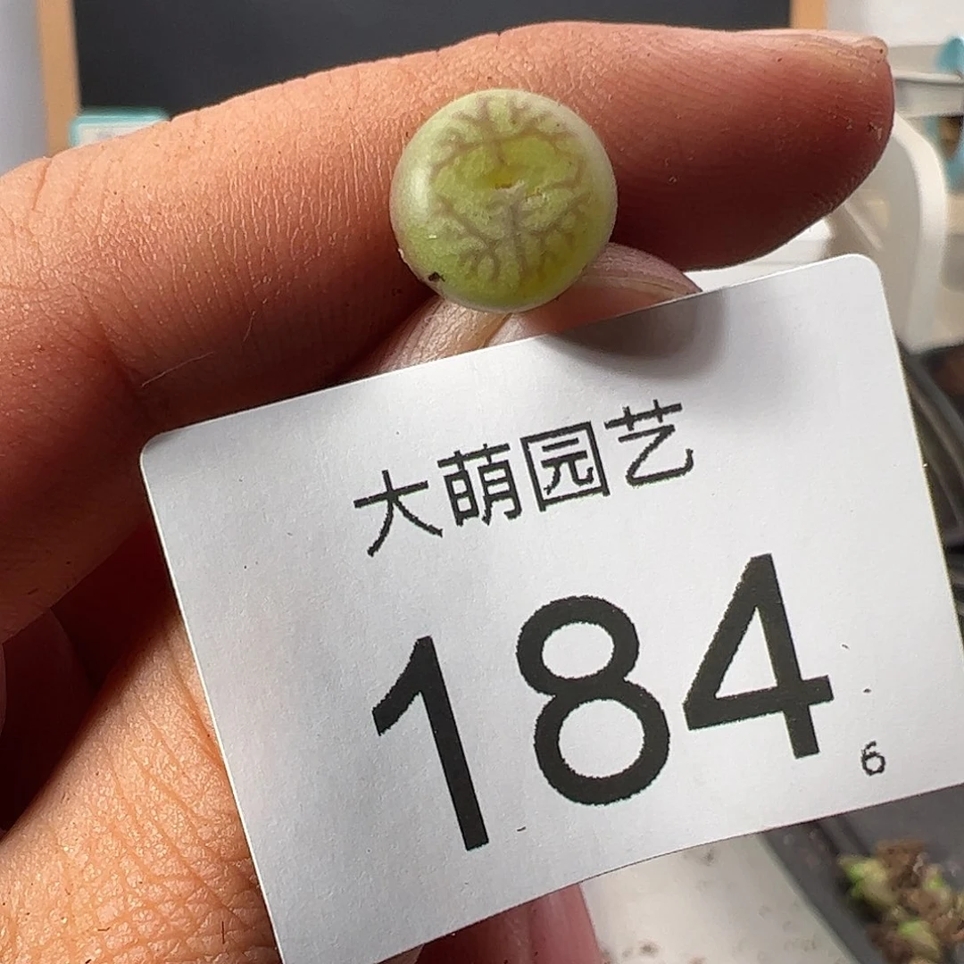 0000184 一物一拍……