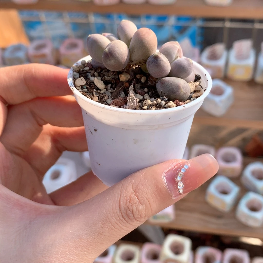 天空美人哈哈哈哈哈哈