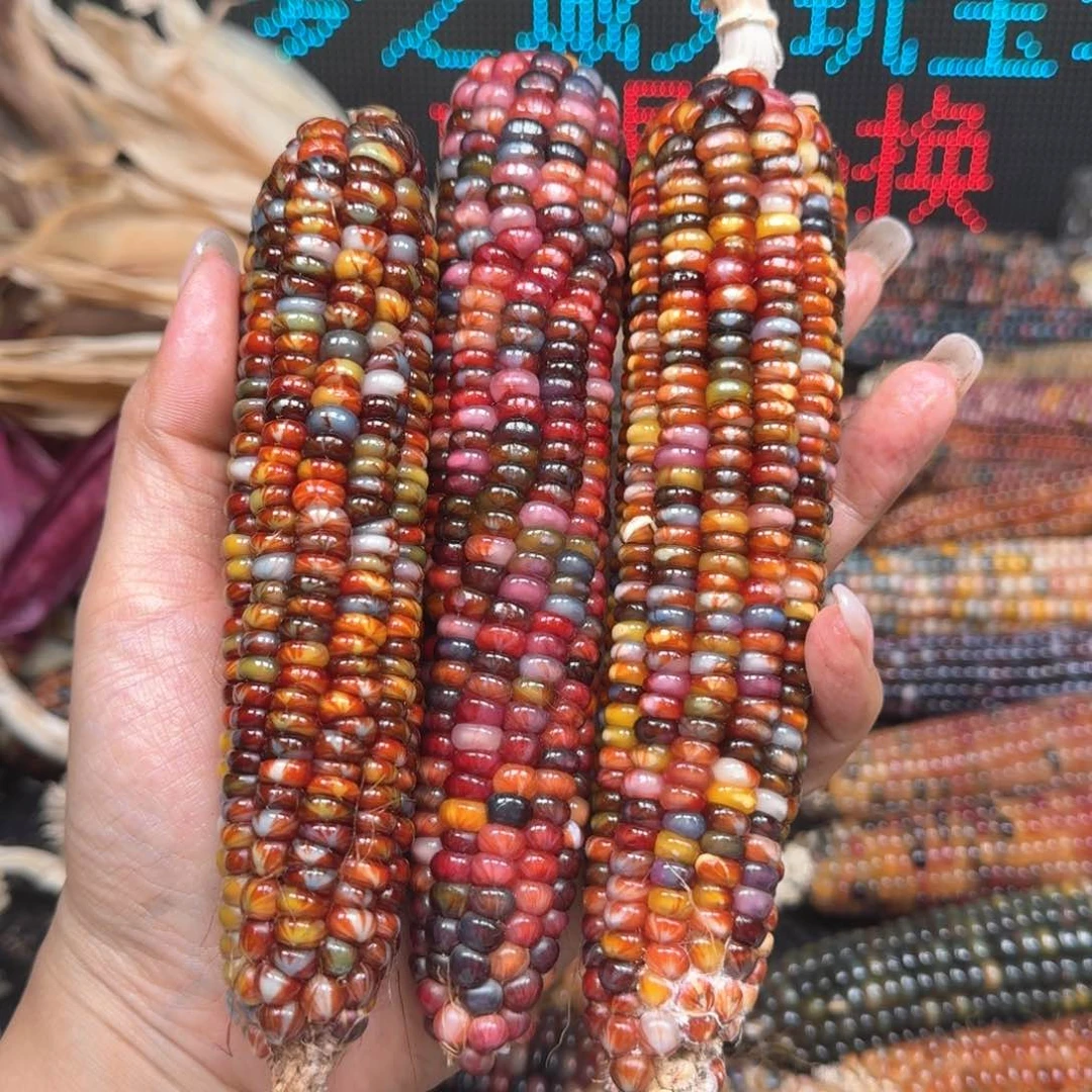 柏香籽/百香籽吊坠万*。