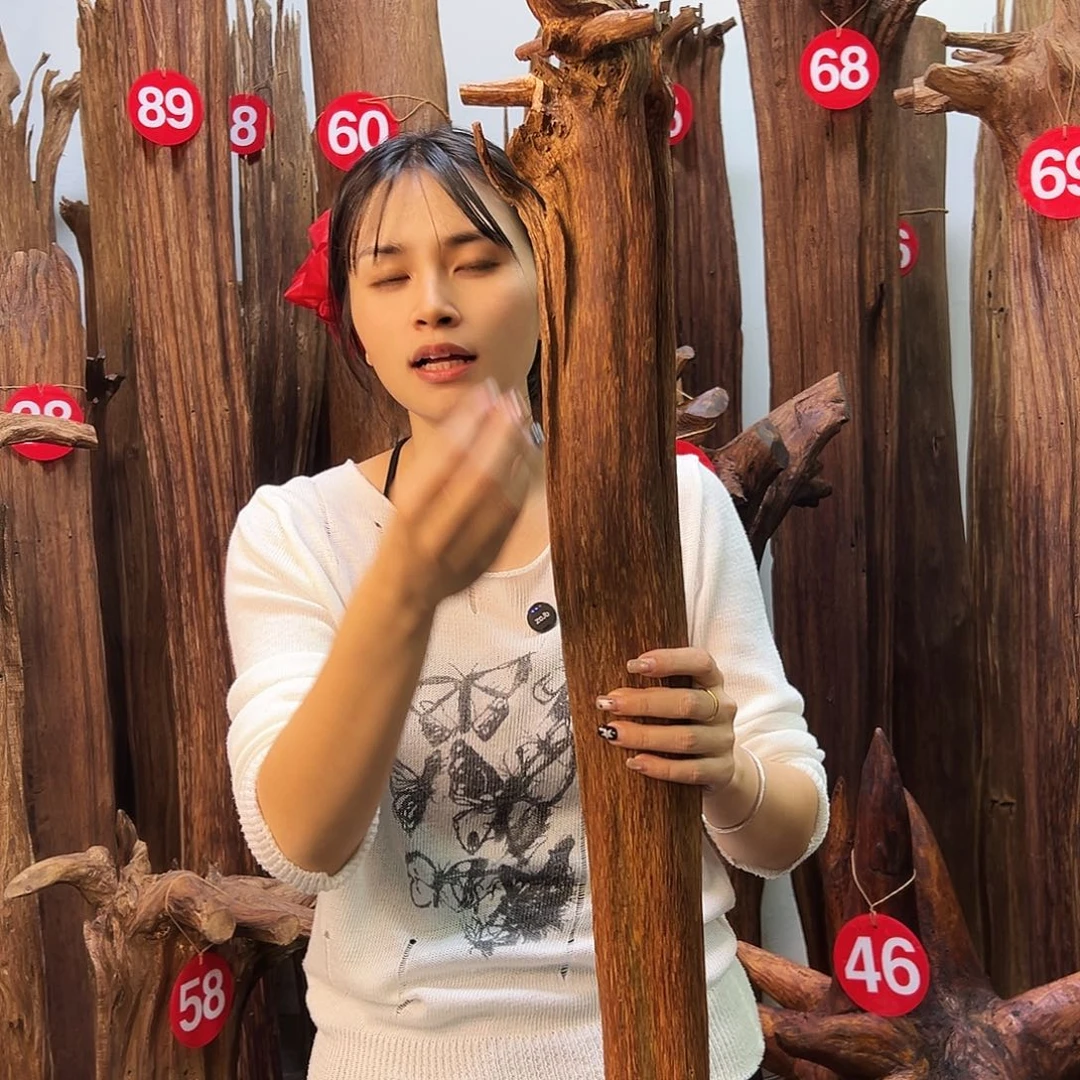 沉香沉香碎屑天然沉香原料香料