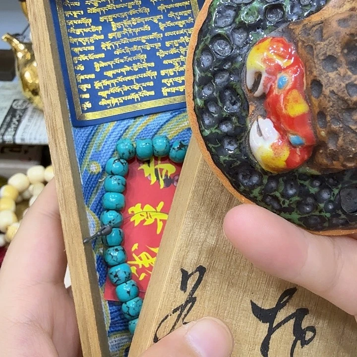 茶宠哈哈哈哈哈哈哈哈哈哈哈哈