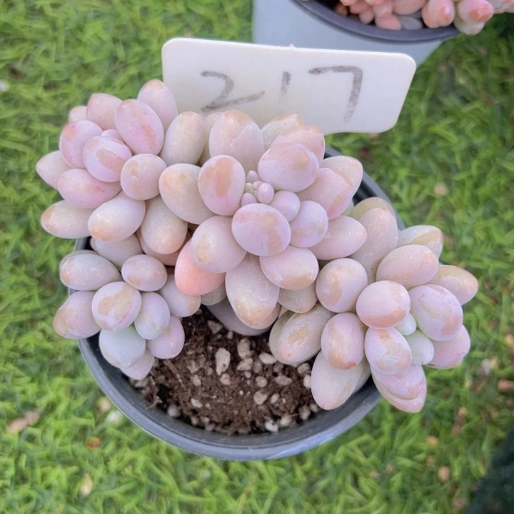 健健康康平平安安