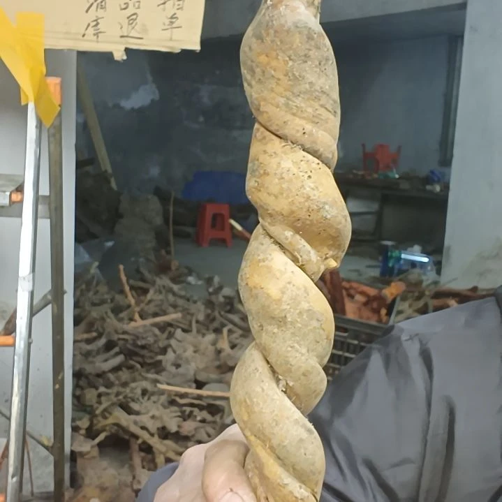 稳定木用****4贵州檬子木   铁马鞭   根艺  半成品