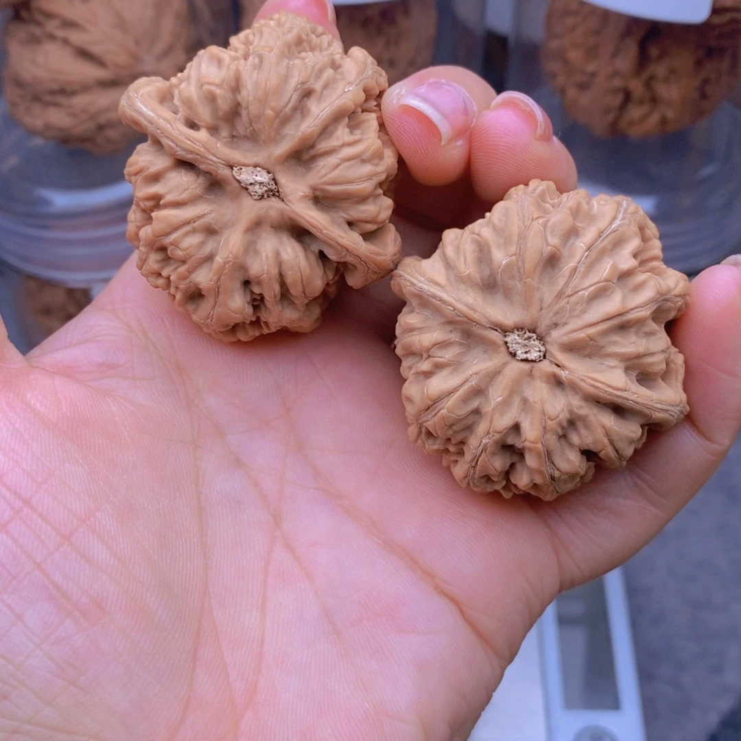 文玩核桃吊坠快***子粗筋44全