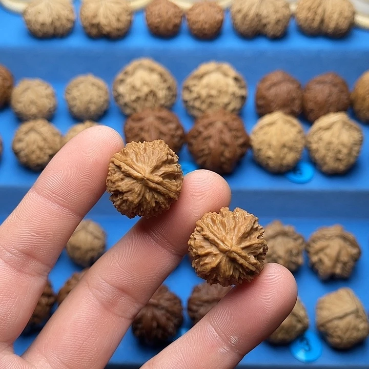 文玩核桃把件龙脊背小号