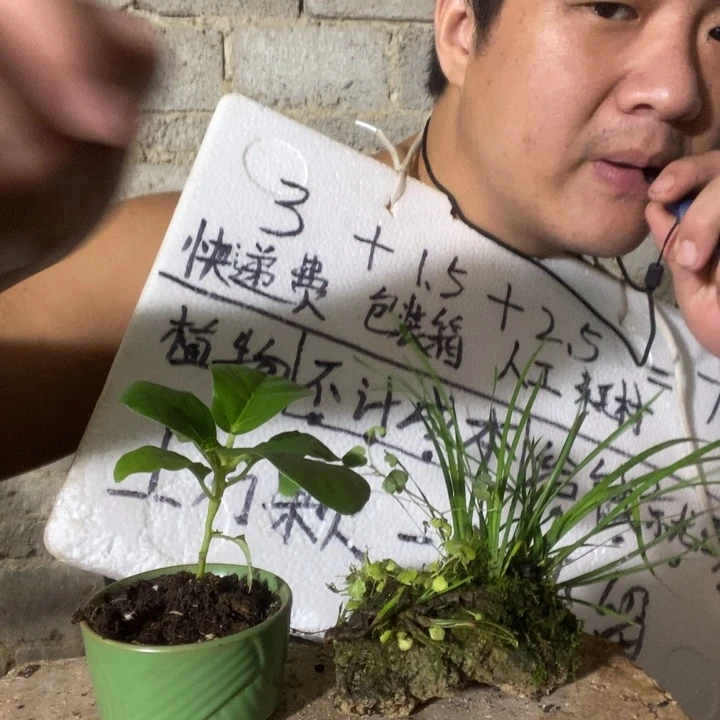 退款拉黑一物一拍373