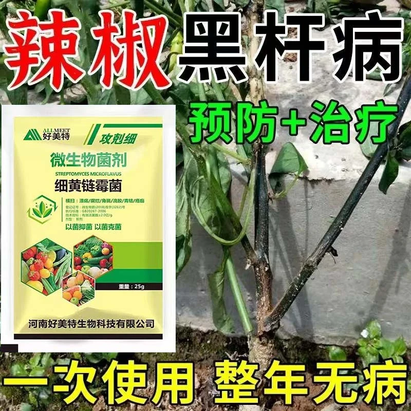 辣椒黑杆病专用药枯萎病叶斑黄叶病不落果疫病杀菌药灭菌剂病全治