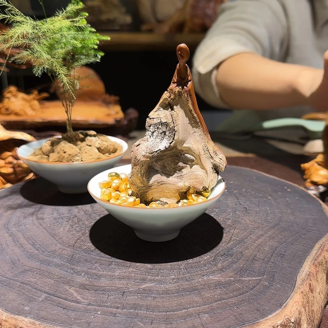 柏木（崖柏）太行集团