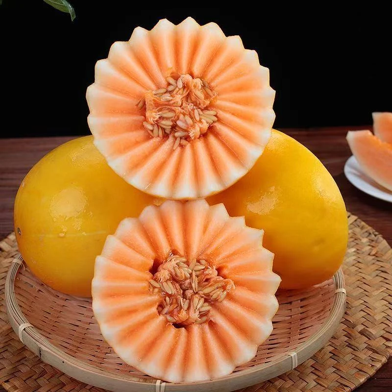 甘肃民勤蜜瓜多仓发货瓜香馥郁香甜多汁新鲜水果c