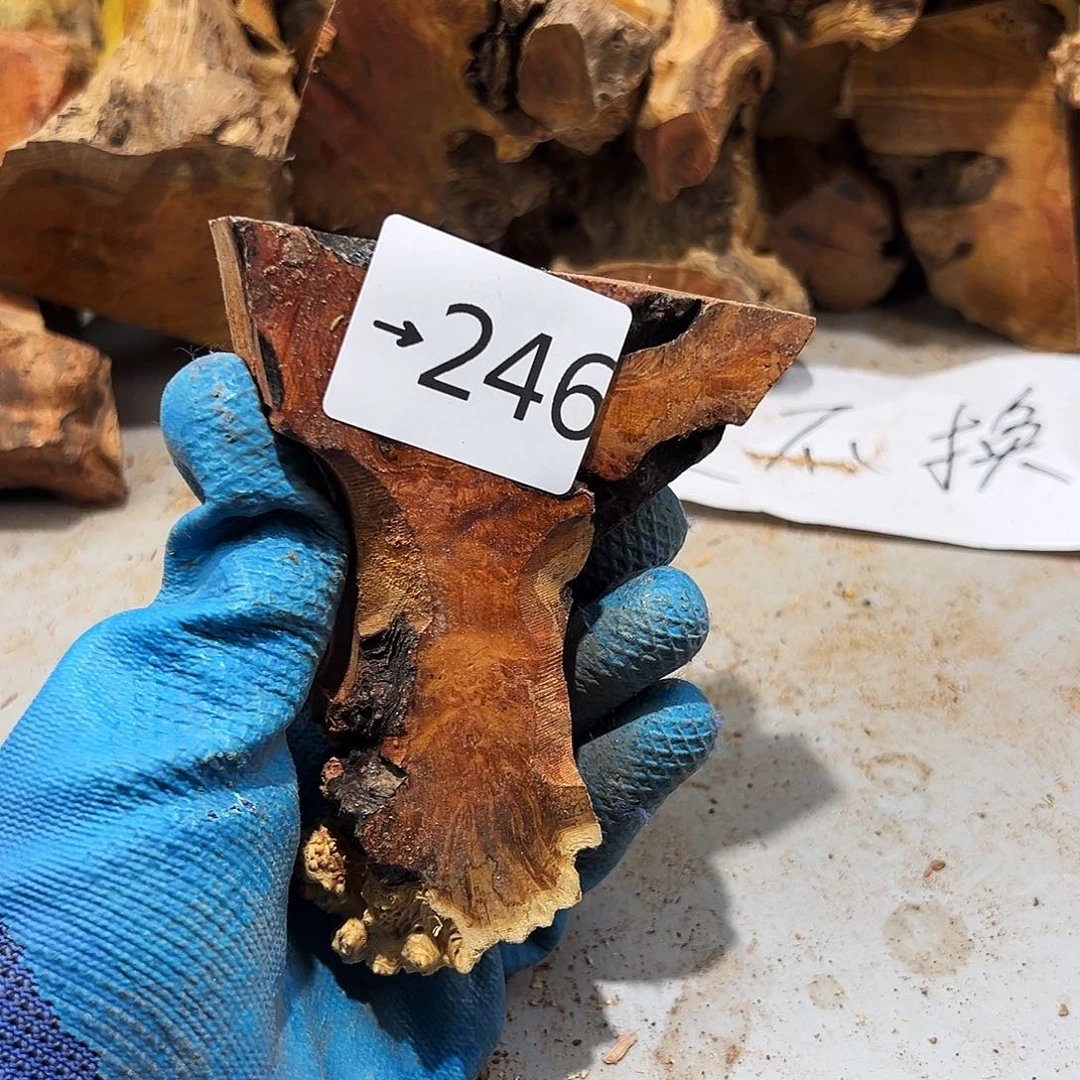 香榧木N*o不退不换不退不换