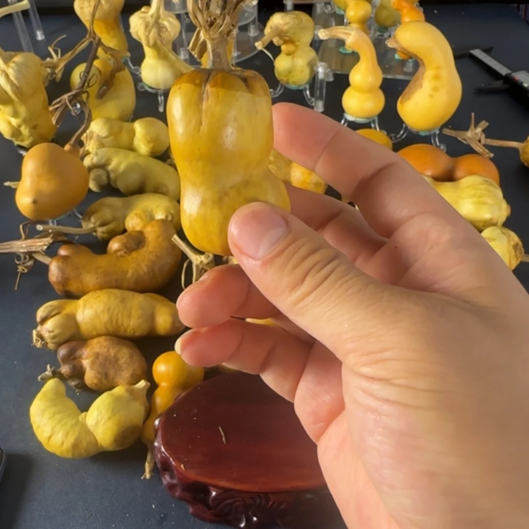 ༄***࿐羊羔毛对符合经济补偿吃几口女方