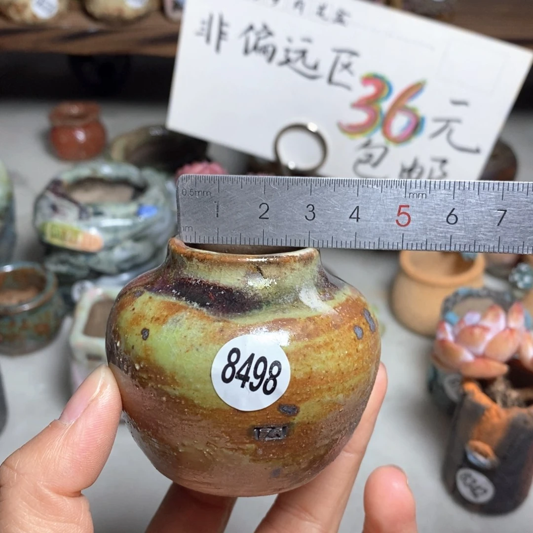 花盆拍5送一个小礼物