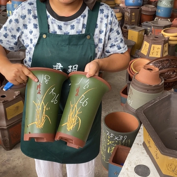 紫砂花盆盆栽花卉苗木种植