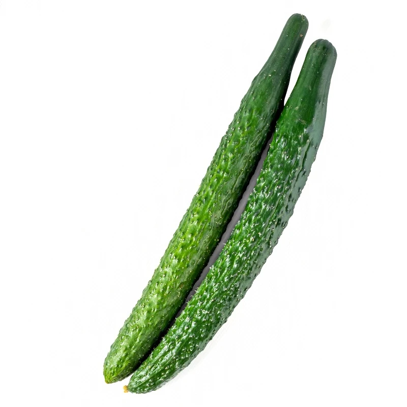 黄瓜（تەرخەمەك）