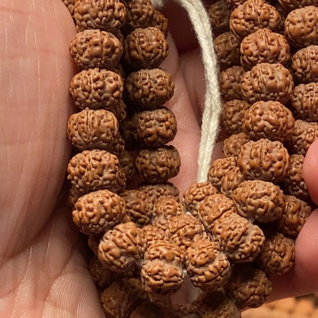 吊坠金刚菩提?**嘿老树梅花8