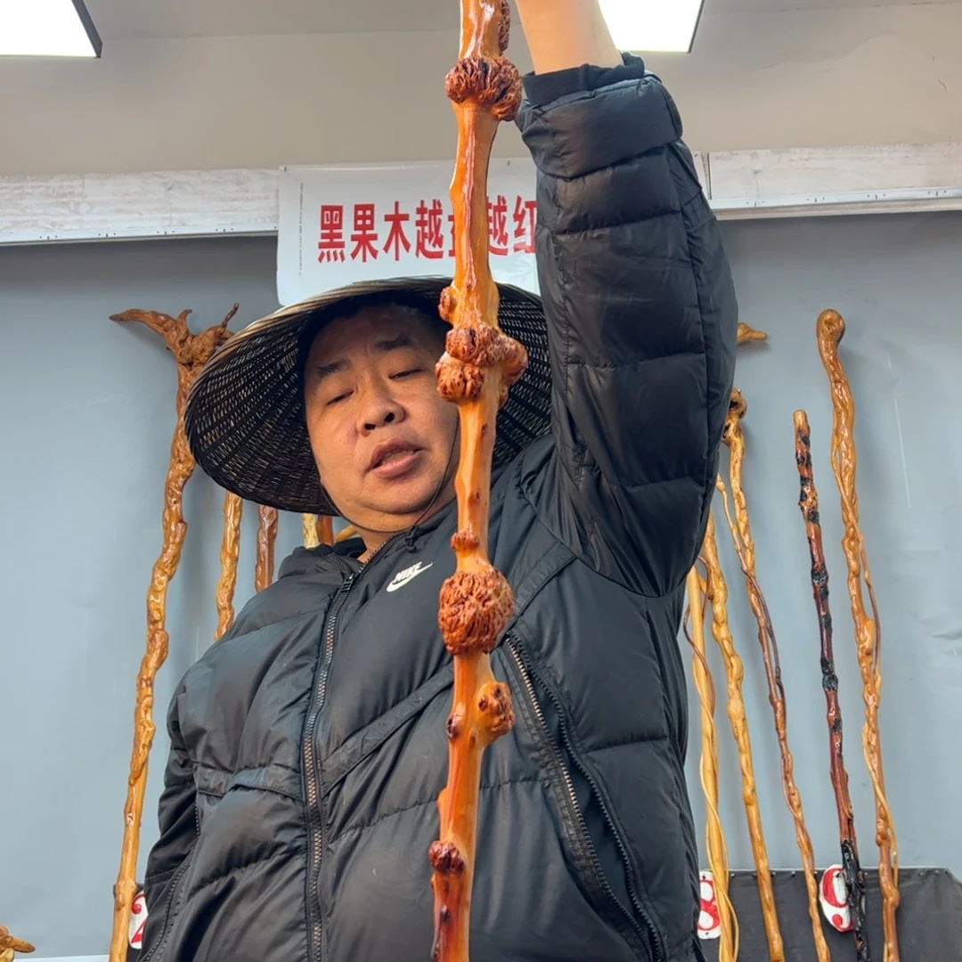 黑果木其他实*人黑果木673