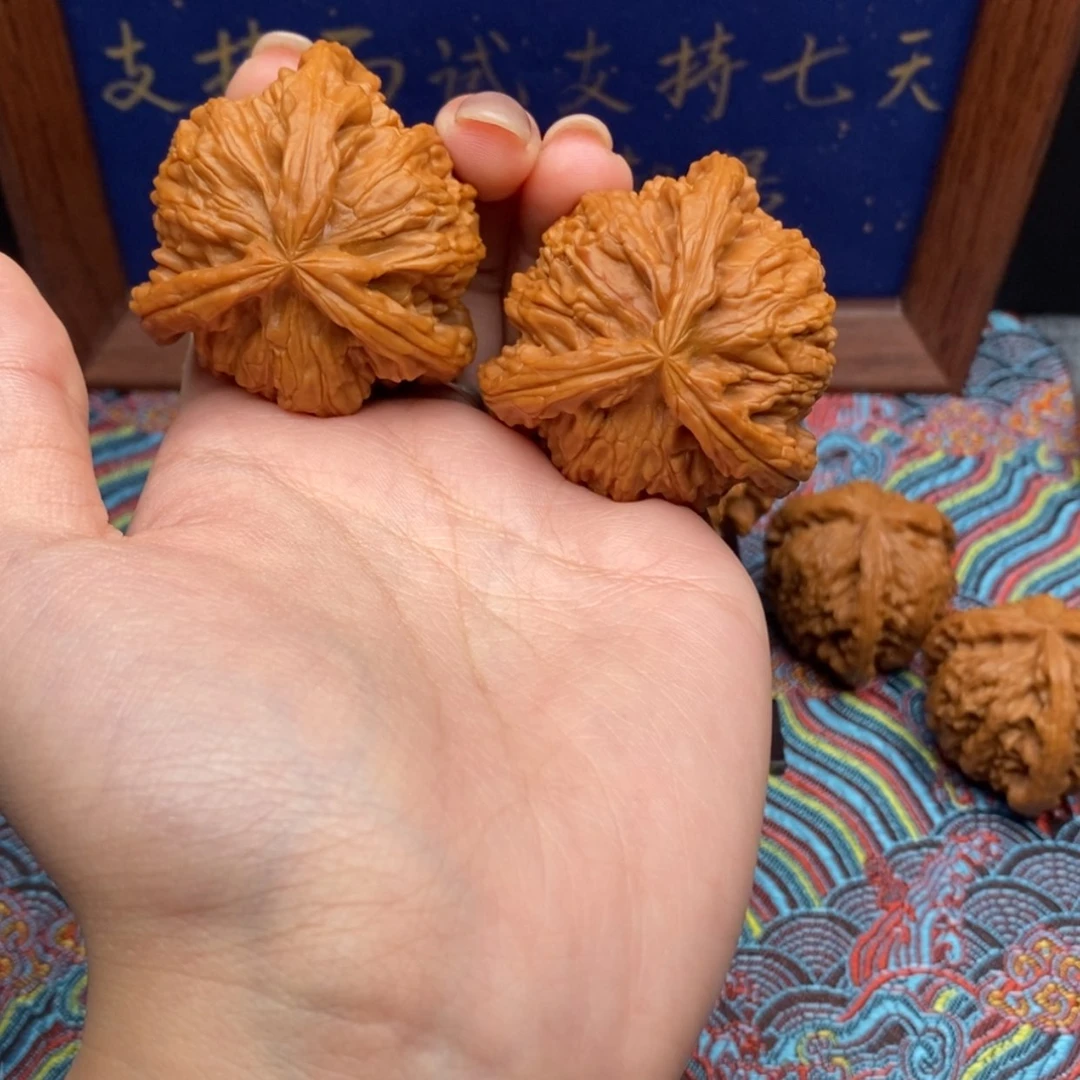 【闪购商品】M***u白狮