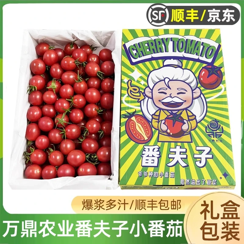万鼎农业番夫子小番茄2斤原箱 当季新鲜圣女果爆浆番茄顺丰包邮