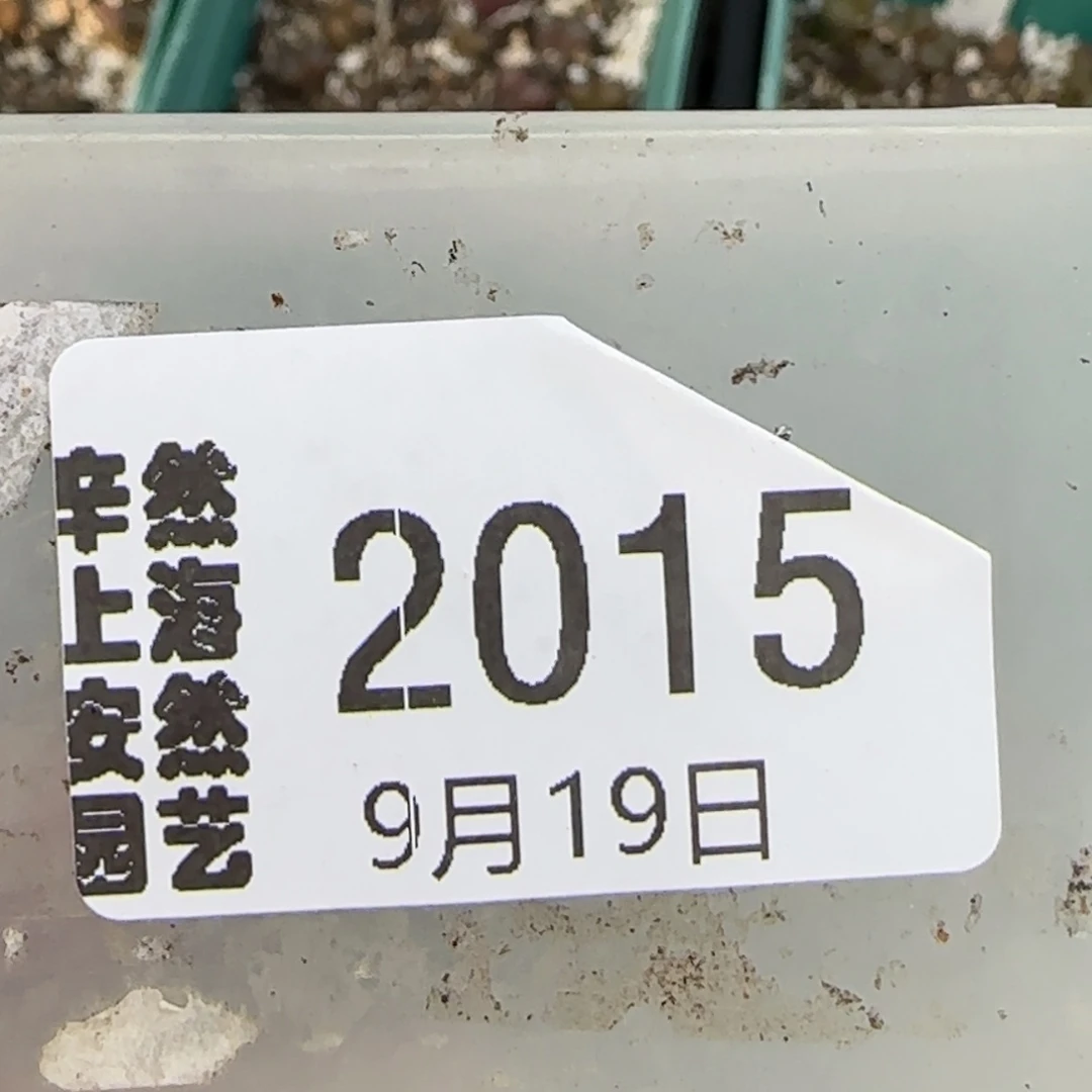 缥***缈9.19。  醉好安贞。  2015