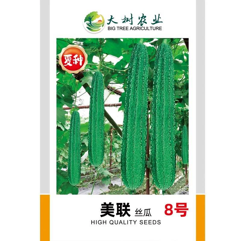 美联8号，花点耐热棱角夏丝瓜种子，瓜长约38公分左右，稳产，抗性好