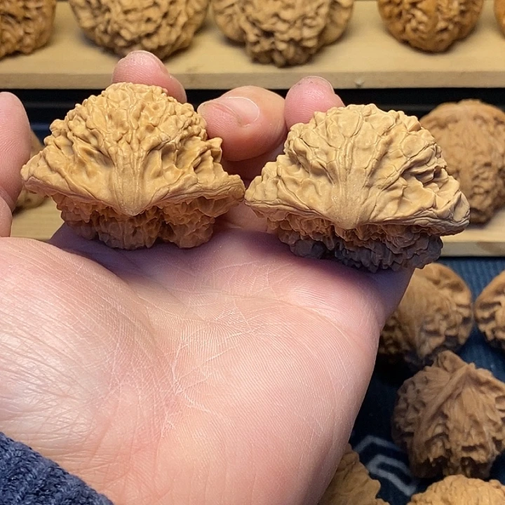 核桃文玩核桃52蛇头福利