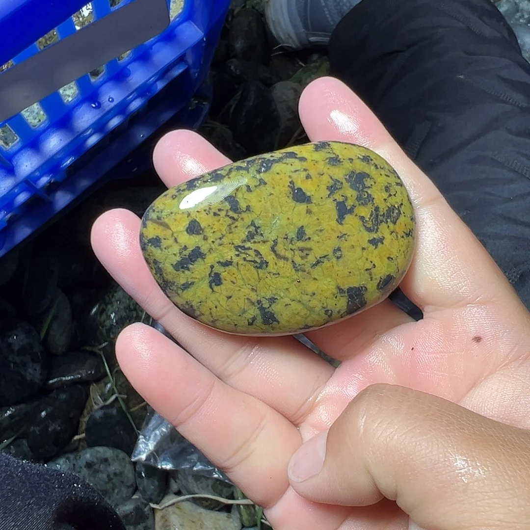 蛇纹石玉未镶嵌珠宝奇石M****d