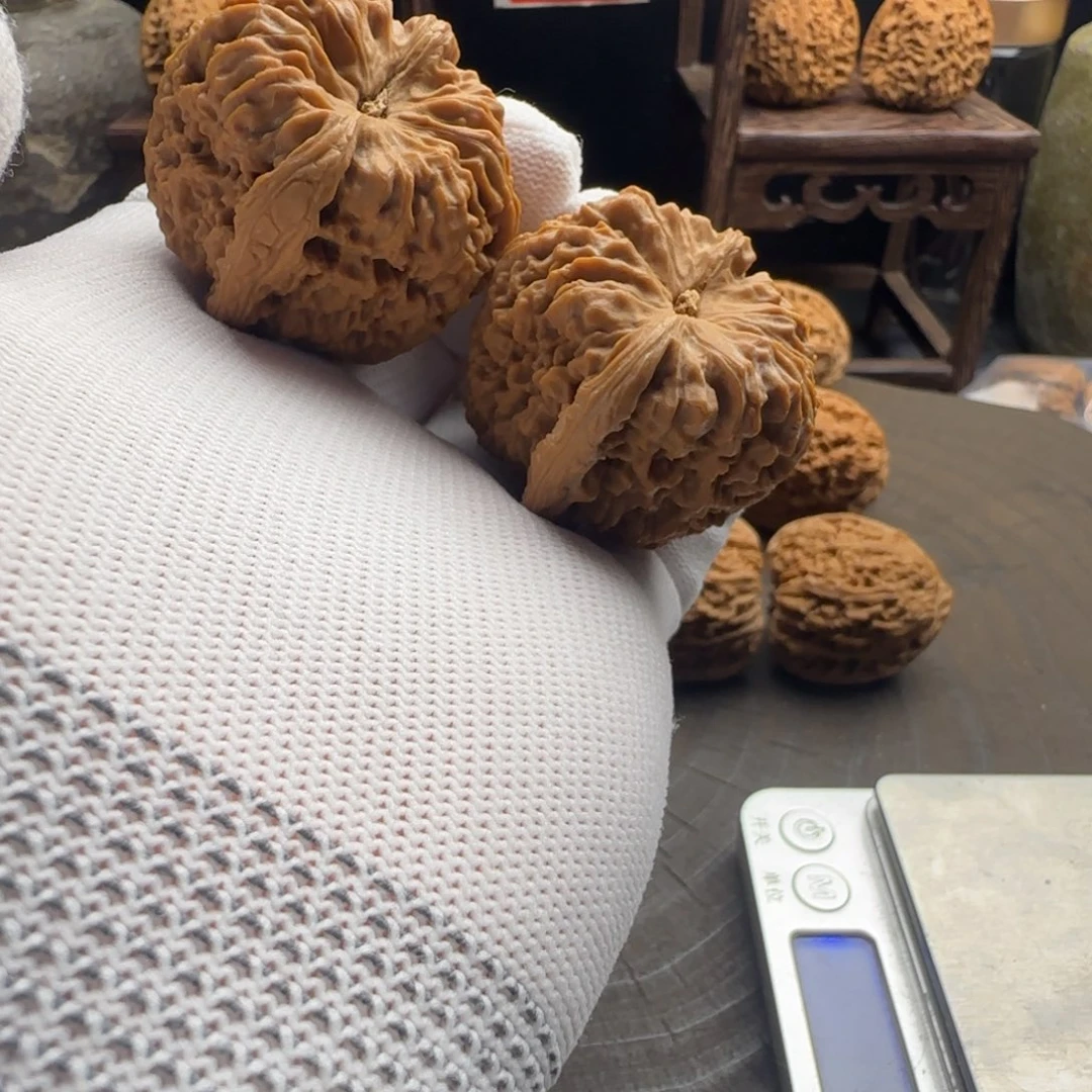 吊坠文玩核桃42奥迪炮弹