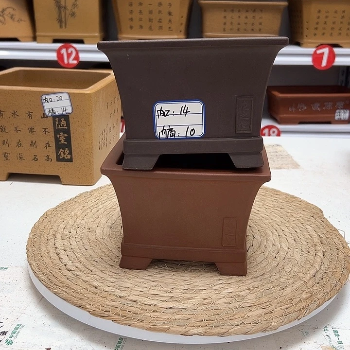 紫砂花盆蛇年大吉