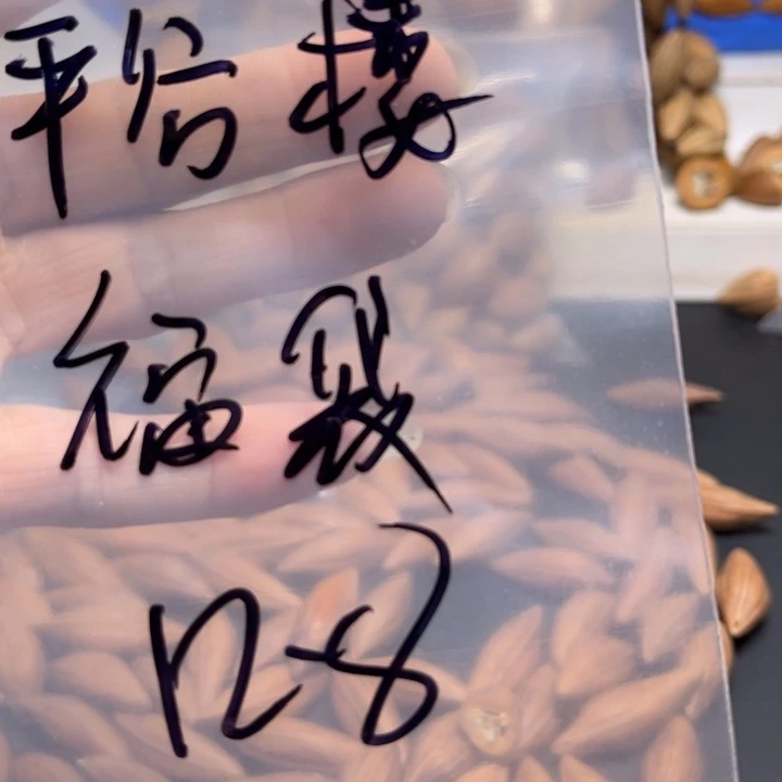 平***楼手串/手链橄榄核1112