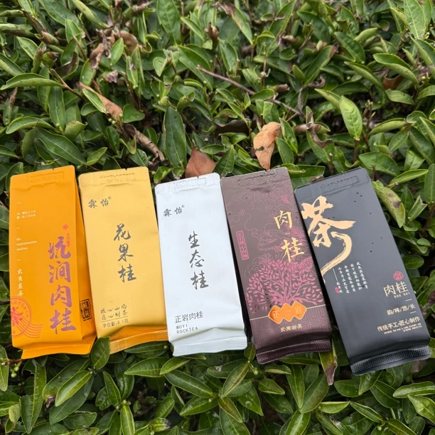 武夷岩茶 肉桂品宣复购款 各有特色